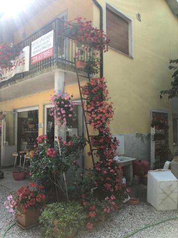 Agriresidence San Pietro Bibione Exteriör bild
